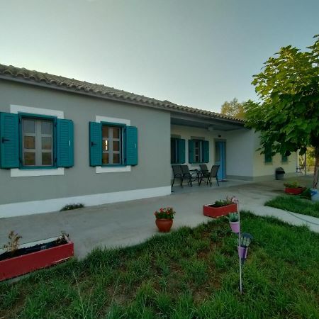 Kalogria Beach Studios Εξωτερικό φωτογραφία