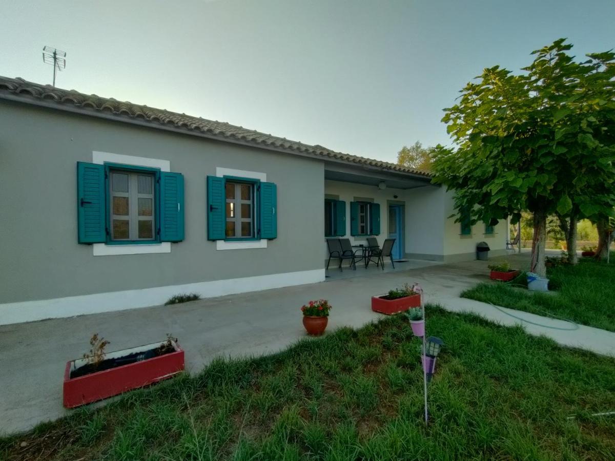 Kalogria Beach Studios Εξωτερικό φωτογραφία